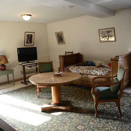 Albrecht Guest Apartement Kembs エクステリア 写真