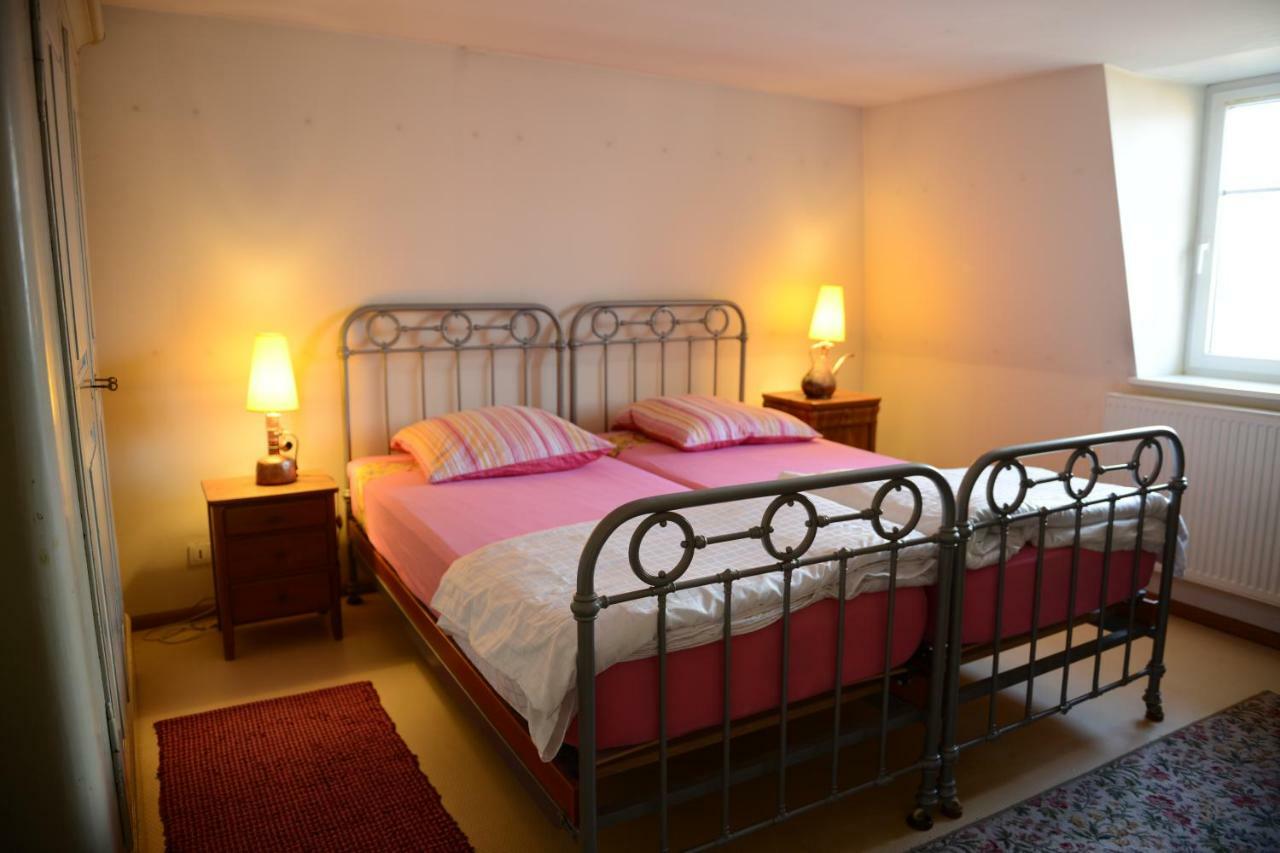 Albrecht Guest Apartement Kembs エクステリア 写真
