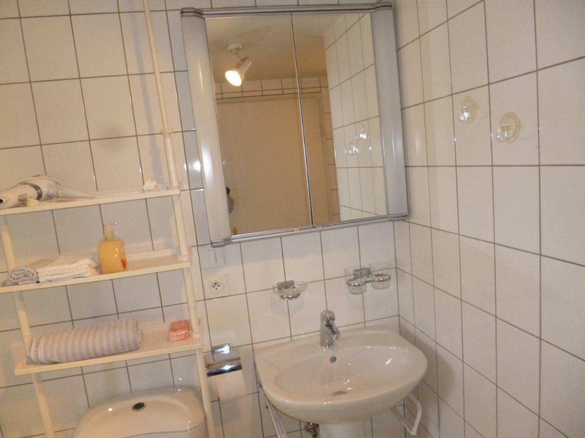 Albrecht Guest Apartement Kembs エクステリア 写真