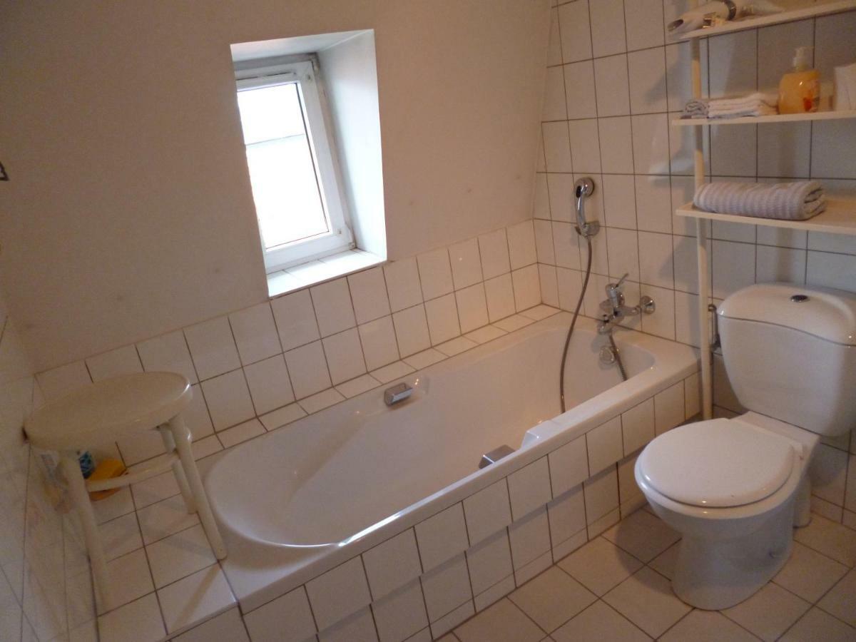 Albrecht Guest Apartement Kembs エクステリア 写真